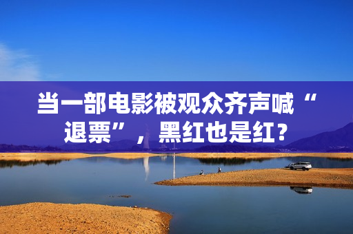 当一部电影被观众齐声喊“退票”，黑红也是红？