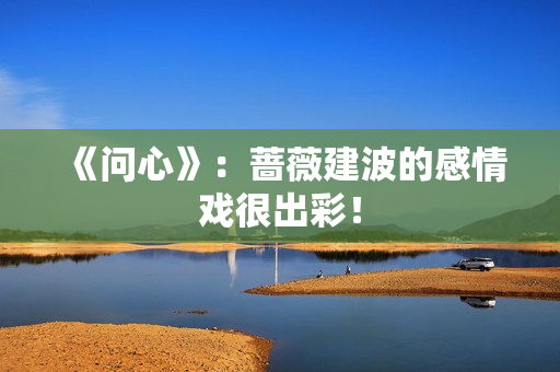 《问心》：蔷薇建波的感情戏很出彩！