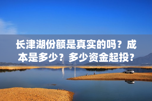 长津湖份额是真实的吗？成本是多少？多少资金起投？怎么投资？(长津湖卖份额是真的吗)