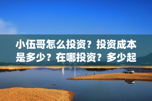 小伍哥怎么投资？投资成本是多少？在哪投资？多少起投？(小伍哥个人资料)