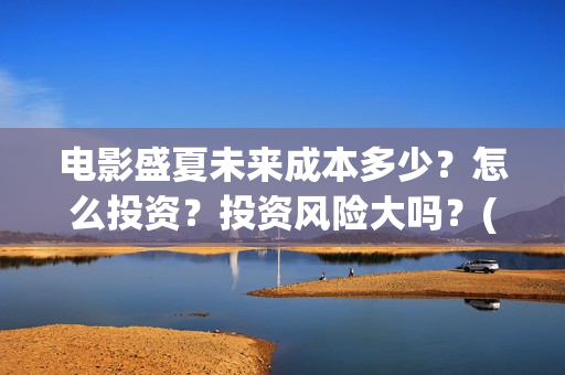 电影盛夏未来成本多少？怎么投资？投资风险大吗？(电影盛夏未来改编小说)