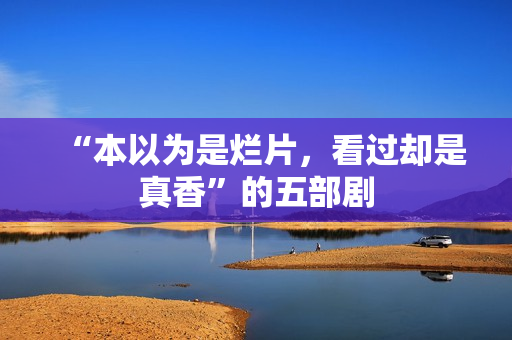 “本以为是烂片,看过却是真香”的五部剧 “本以为是烂片,看过却是真香”的五部剧