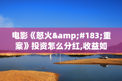 电影《怒火·重案》投资怎么分红,收益如何?可以投资吗?(电影《怒火》谢苗在线观看)