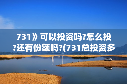 731》可以投资吗?怎么投?还有份额吗?(731总投资多少)