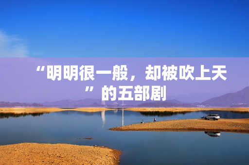 “明明很一般，却被吹上天”的五部剧