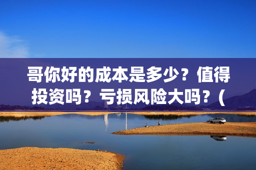 哥你好的成本是多少？值得投资吗？亏损风险大吗？(你好哥哥表情包)