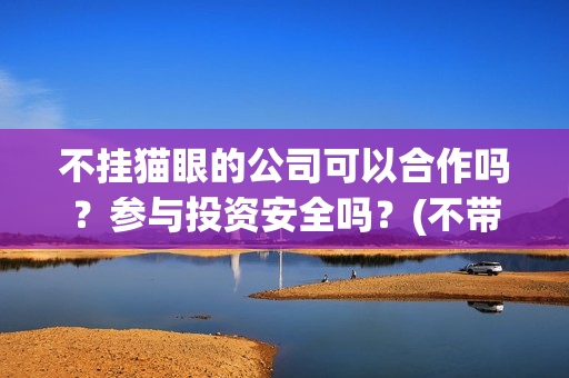 不挂猫眼的公司可以合作吗？参与投资安全吗？(不带猫眼的门才安全吗)