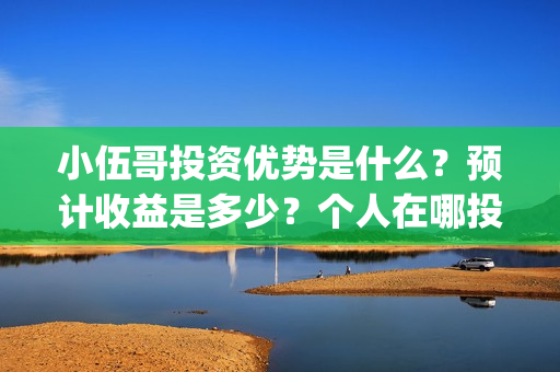 小伍哥投资优势是什么？预计收益是多少？个人在哪投资？(《小伍哥》)