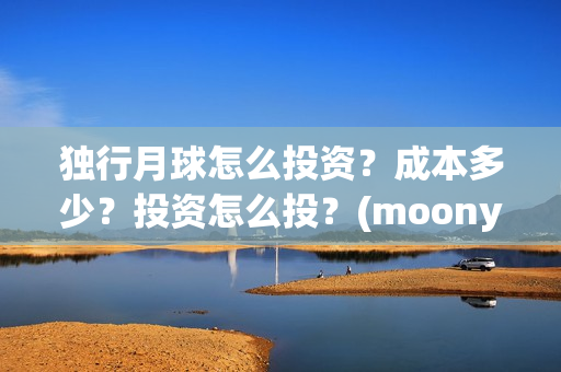 独行月球怎么投资？成本多少？投资怎么投？(moonyou-独行月球)