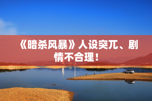 《暗杀风暴》人设突兀、剧情不合理！