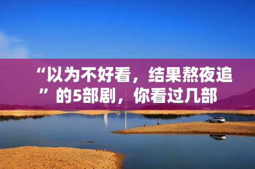 “以为不好看，结果熬夜追”的5部剧，你看过几部