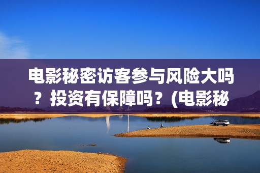 电影秘密访客参与风险大吗？投资有保障吗？(电影秘密访客内容)