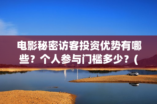 电影秘密访客投资优势有哪些？个人参与门槛多少？(电影 秘密访客)