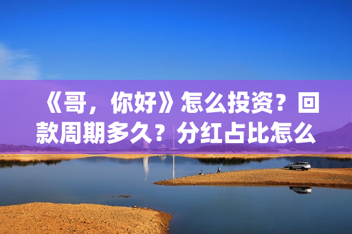 《哥，你好》怎么投资？回款周期多久？分红占比怎么计算？(你好哥哥)