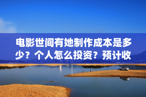 电影世间有她制作成本是多少？个人怎么投资？预计收益是多少？(《世间有她》)