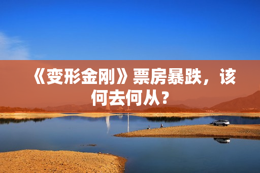 《变形金刚》票房暴跌，该何去何从？