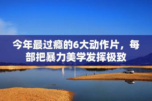 今年最过瘾的6大动作片，每部把暴力美学发挥极致