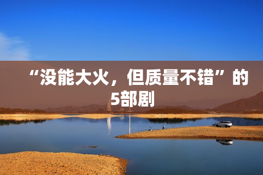 “没能大火，但质量不错”的5部剧