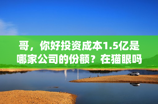 哥，你好投资成本1.5亿是哪家公司的份额？在猫眼吗？预测票房多少？(鹩哥你好mp3)