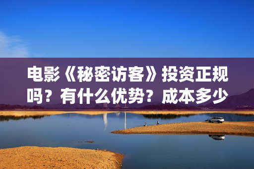 电影《秘密访客》投资正规吗？有什么优势？成本多少？(电影《秘密访客》演员表)
