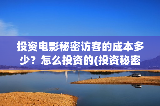 投资电影秘密访客的成本多少？怎么投资的(投资秘密访客)