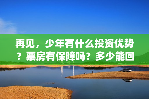 再见，少年有什么投资优势？票房有保障吗？多少能回本？(再见,少年语录)