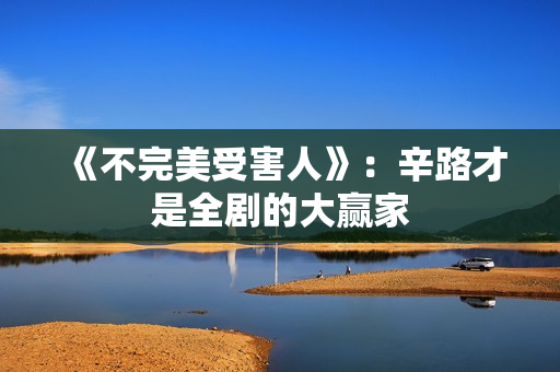 《不完美受害人》：辛路才是全剧的大赢家