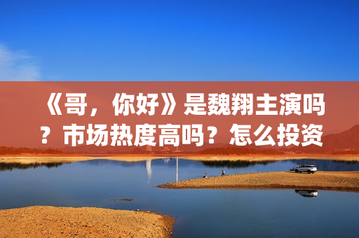 《哥，你好》是魏翔主演吗？市场热度高吗？怎么投资认购？分账快吗？(鹩哥你好mp3)