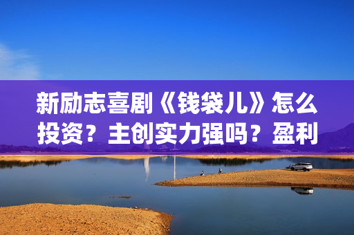 新励志喜剧《钱袋儿》怎么投资？主创实力强吗？盈利高吗？(喜剧励志电影)