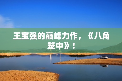 王宝强的巅峰力作，《八角笼中》！