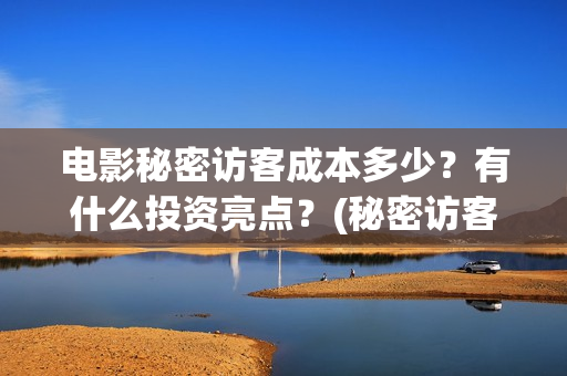 电影秘密访客成本多少？有什么投资亮点？(秘密访客电影啥意思)
