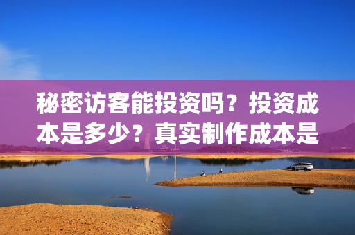 秘密访客能投资吗？投资成本是多少？真实制作成本是多少？(秘密访客能投资什么)