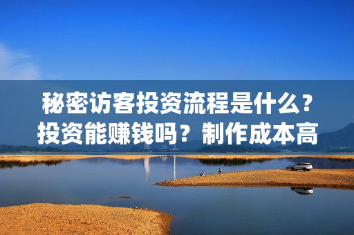 秘密访客投资流程是什么？投资能赚钱吗？制作成本高吗？(秘密访客 投资方)