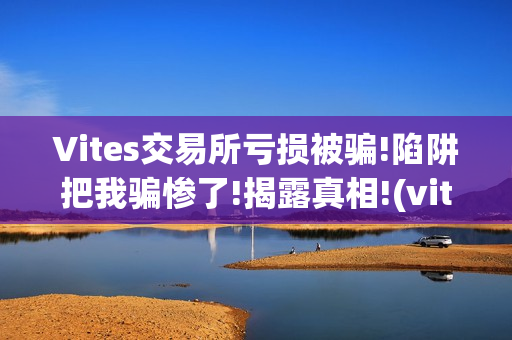Vites交易所亏损被骗!陷阱把我骗惨了!揭露真相!(vitex交易所)