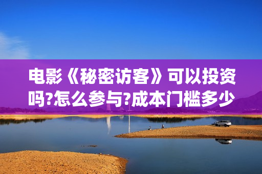 电影《秘密访客》可以投资吗?怎么参与?成本门槛多少?(电影《秘密访客》)