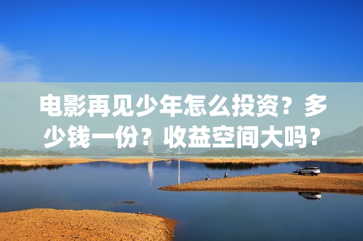 电影再见少年怎么投资？多少钱一份？收益空间大吗？(再见少年电影啥意思)