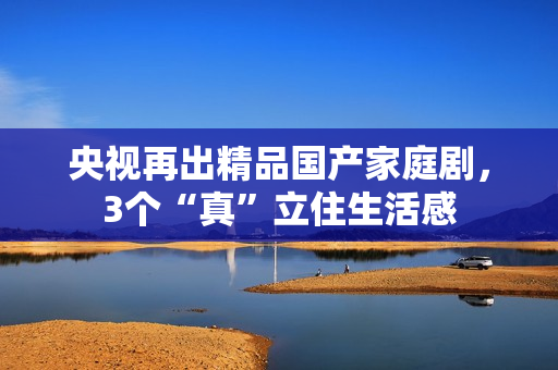 央视再出精品国产家庭剧，3个“真”立住生活感