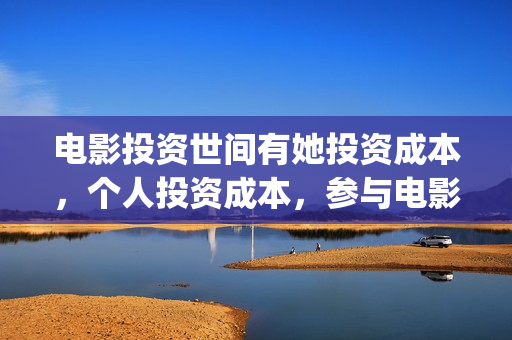 电影投资世间有她投资成本，个人投资成本，参与电影投资成本？(电影投资商)