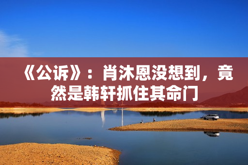 《公诉》：肖沐恩没想到，竟然是韩轩抓住其命门