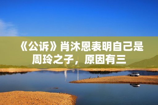 《公诉》肖沐恩表明自己是周玲之子，原因有三