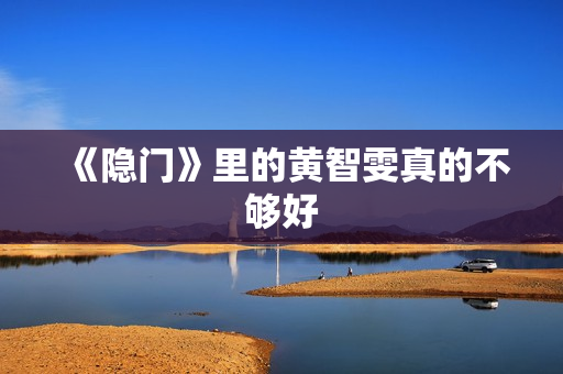 《隐门》里的黄智雯真的不够好