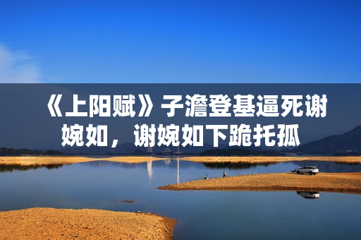 《上阳赋》子澹登基逼死谢婉如，谢婉如下跪托孤