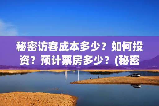 秘密访客成本多少？如何投资？预计票房多少？(秘密访客总投资多少)