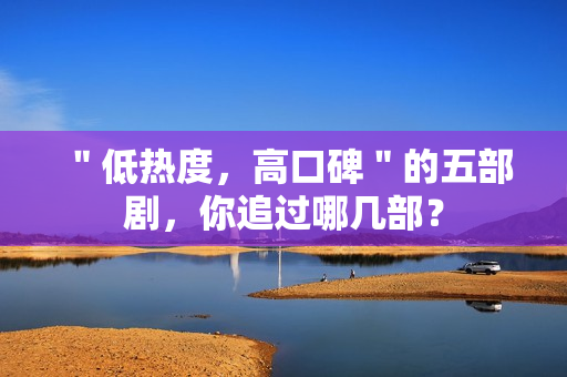 ＂低热度，高口碑＂的五部剧，你追过哪几部？