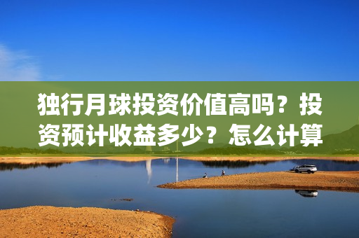 独行月球投资价值高吗？投资预计收益多少？怎么计算收益？(独行月球票房预测)