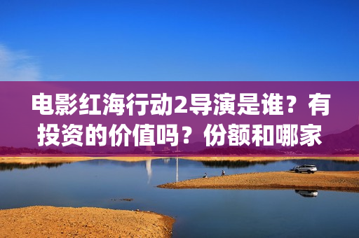电影红海行动2导演是谁？有投资的价值吗？份额和哪家公司认购？(电影红海行动2图片)
