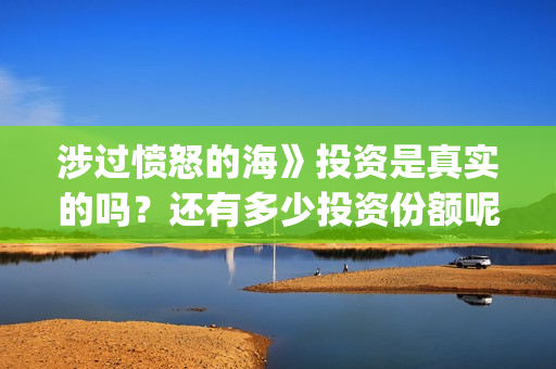 涉过愤怒的海》投资是真实的吗？还有多少投资份额呢？(涉过愤怒的海女孩经历了什么)