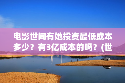电影世间有她投资最低成本多少？有3亿成本的吗？(世间有她电影投资)