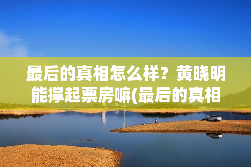 最后的真相怎么样？黄晓明能撑起票房嘛(最后的真相简介)