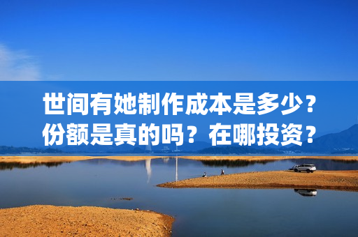 世间有她制作成本是多少？份额是真的吗？在哪投资？(世间有她什么题材)
